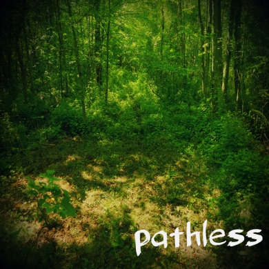 pathless-cover